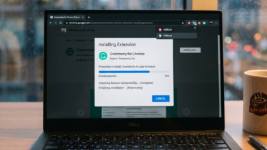 How Browser Extensions Can Put Your Privacy at Risk