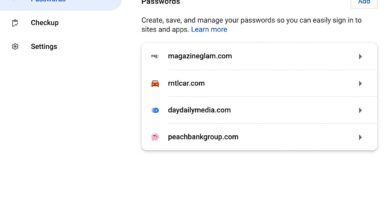 Should You Trust Browser Password Managers?
