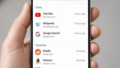 Can Your Browser History Be Seen by Other People?