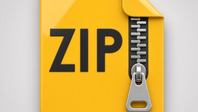 Can ZIP Files Contain Viruses?