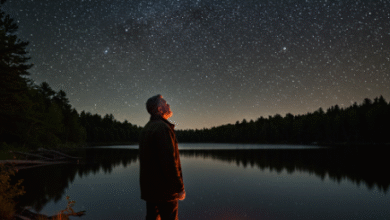 Observação das estrelas